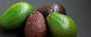 Palta Mendez Hass